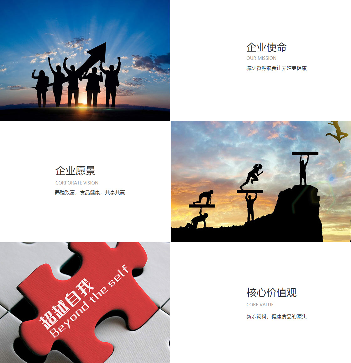 龙八国龙八long8官方网站(图1)